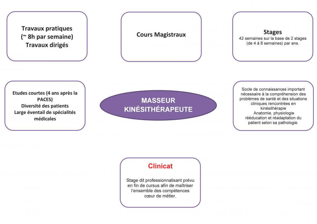 fiche kiné