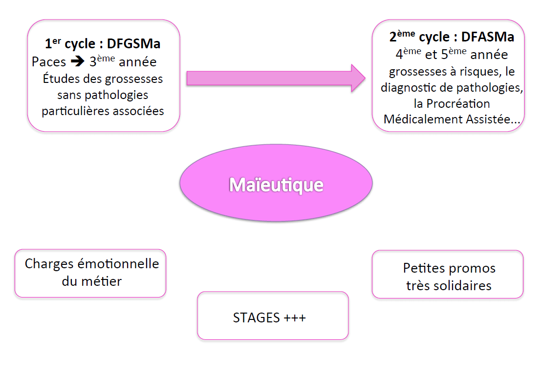 fiche maïeutique