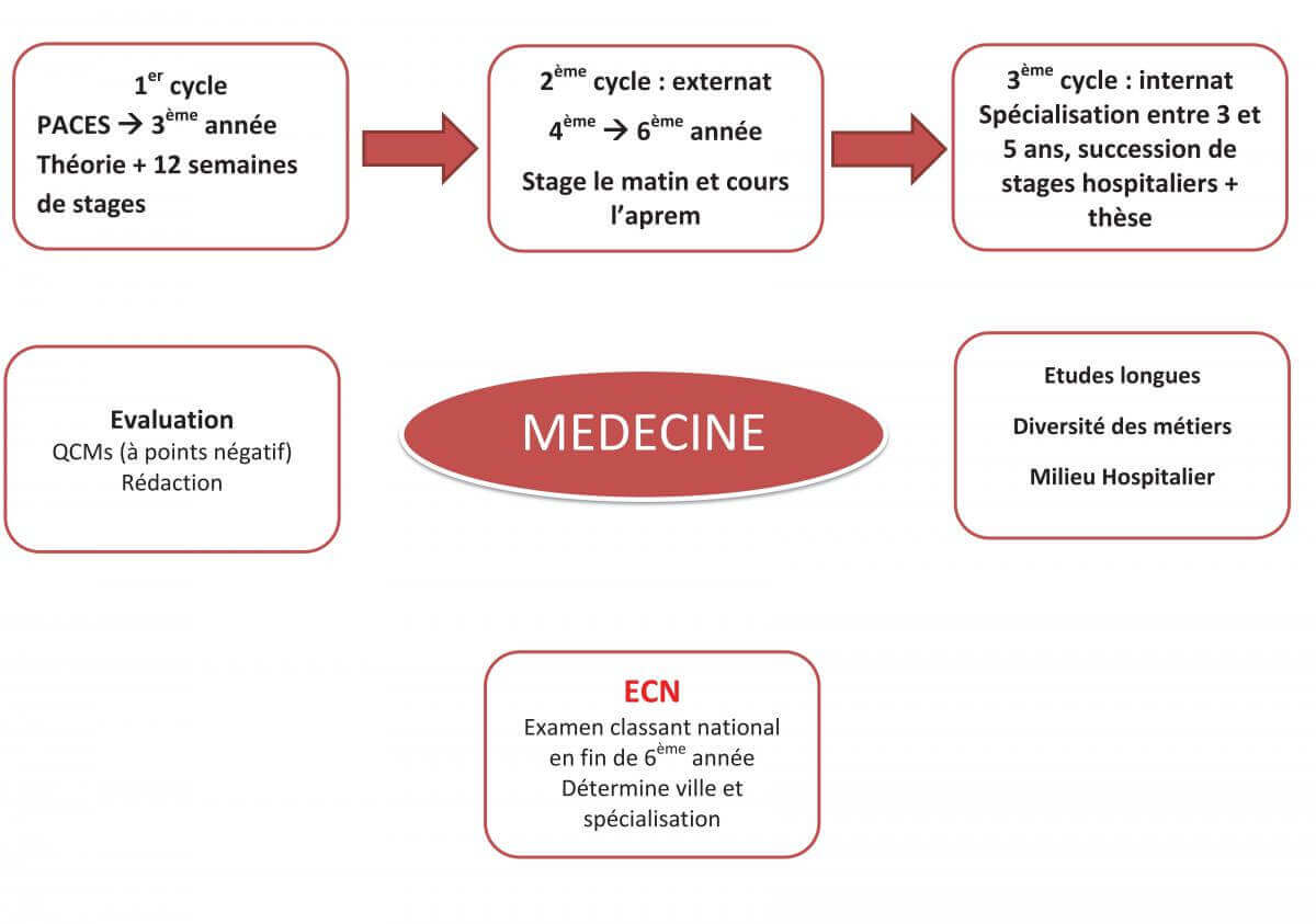 fiche médecine