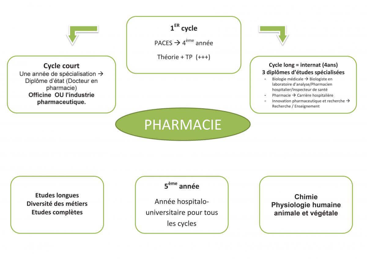 fiche pharmacie