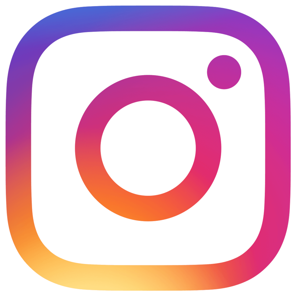 icone instagram