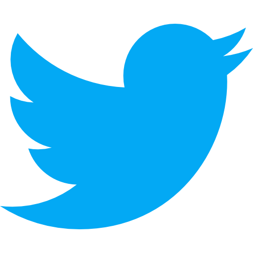 icone twitter