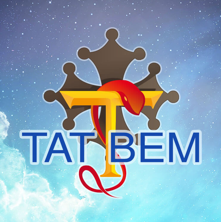 logo de l'équipe BEM du TAT